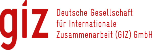 giz logo.png